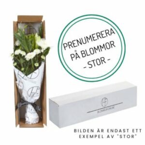 Prenumerera på blommor via Florister i Sverige!